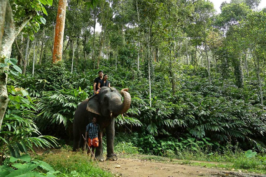 Elephant Court Thekkady Εξωτερικό φωτογραφία